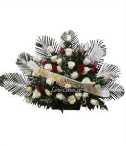 Ramos Fúnebres Cali