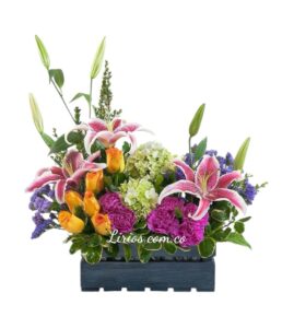 Caja exótica flores en cali Sur