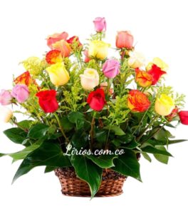 Ramos Flores Cumpleaños