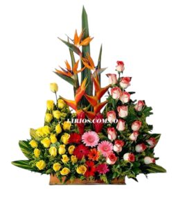 Contraste De Flores servicio domicilio en cali