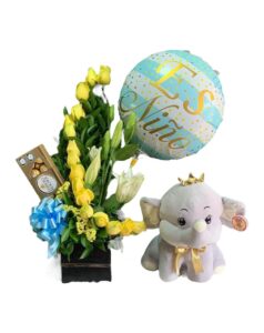 Flores Cali Nacimientos Bebe