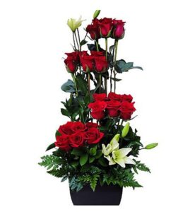 Cubo Rosas Cali Feliz Día