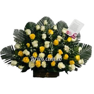 Abanicos Fúnebres Cali