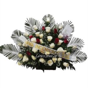 Ramos Fúnebres Cali