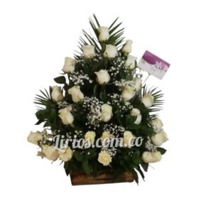 Abanico Fúnebre Económico