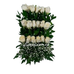 Arreglo Fúnebre Económico