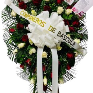 Flores Fúnebre América De Cali