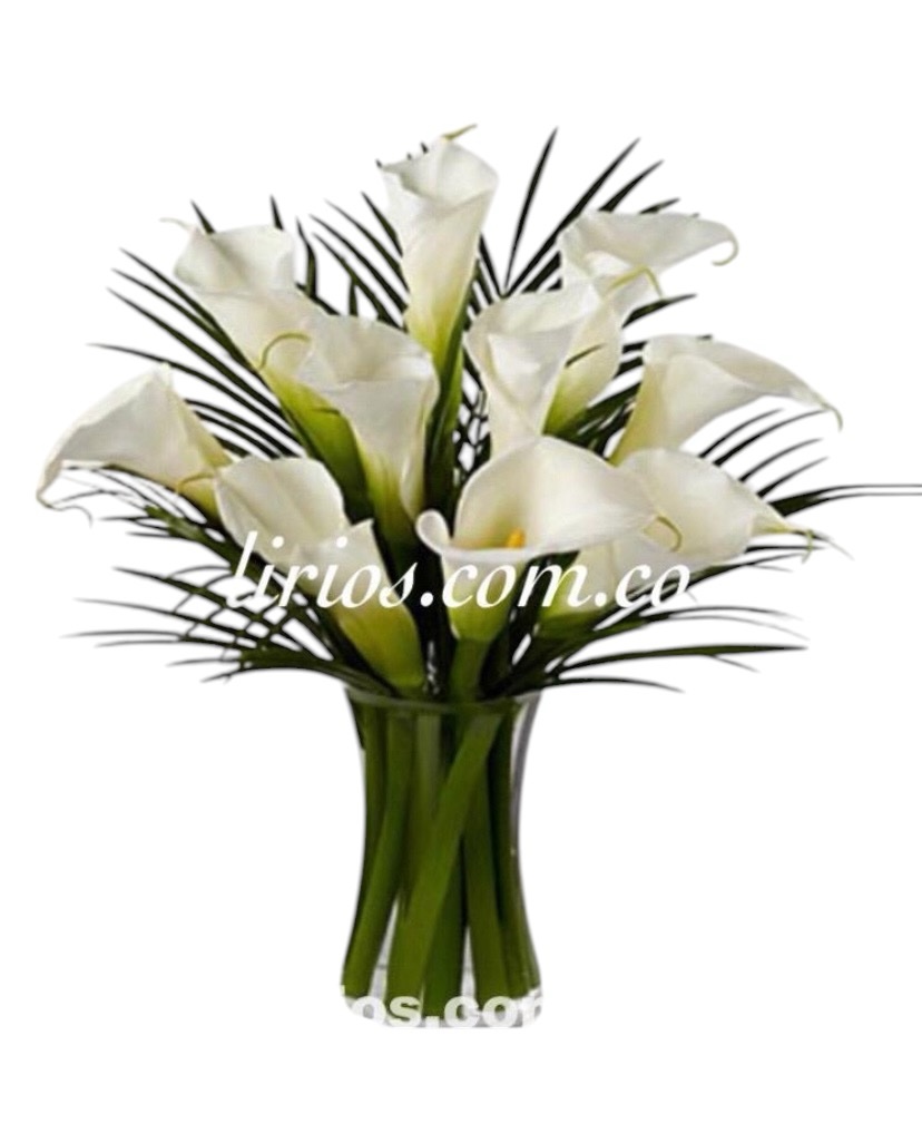 Jarrón Cartuchos Cali