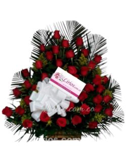 Ramo Funeral Cali