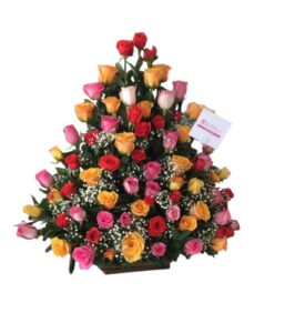 Rosas Surtida Floristeria Cali