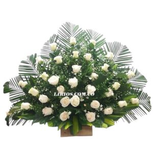 Arreglo Fúnebre Abanico  Cali
