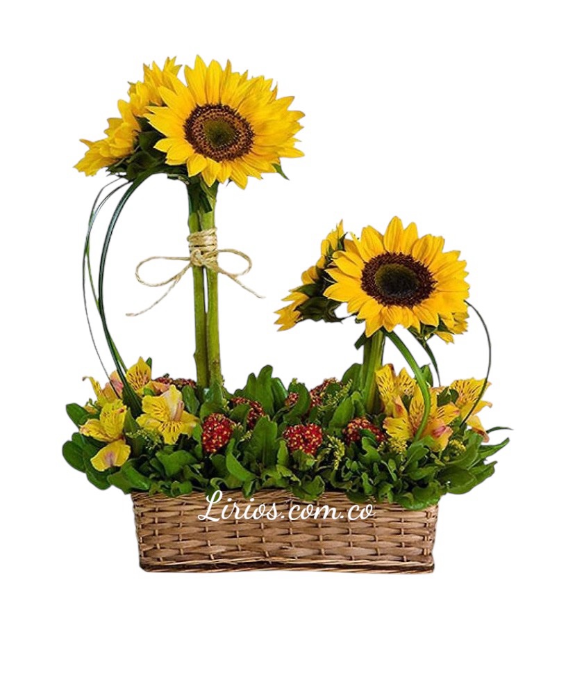 Canasta de Girasoles para Sorprender Domicilios en cali