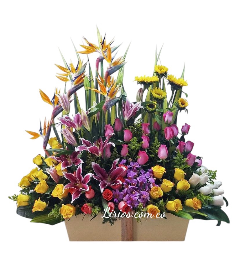 Carnaval floral envíos en cali