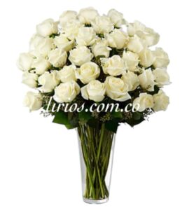 Fúnebres y Condolencias Cali