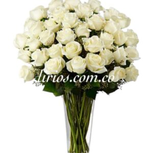 Fúnebres y Condolencias Cali