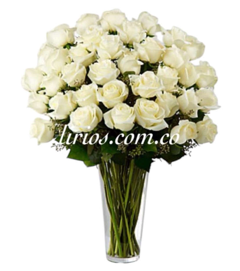 Fúnebres y Condolencias Cali