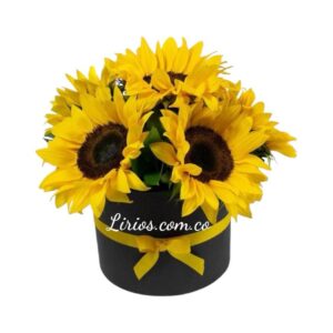 Floristeria en Cali Girasoles