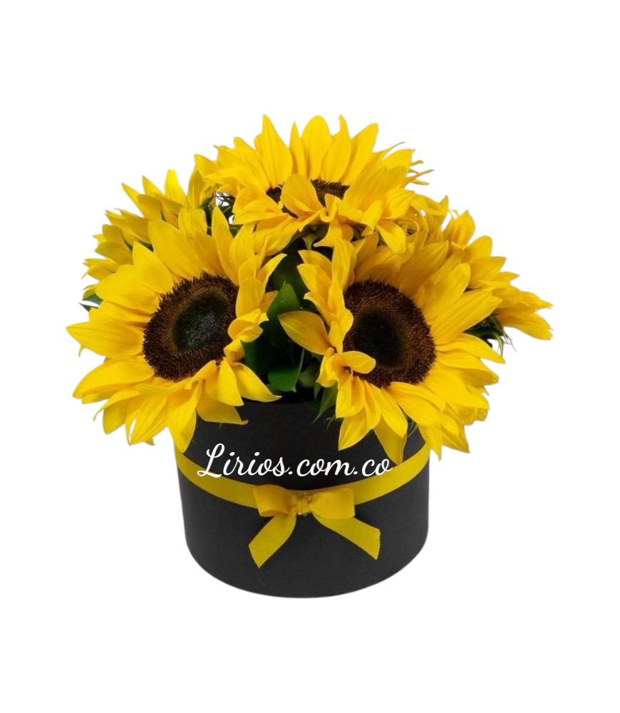 Floristeria en Cali Girasoles