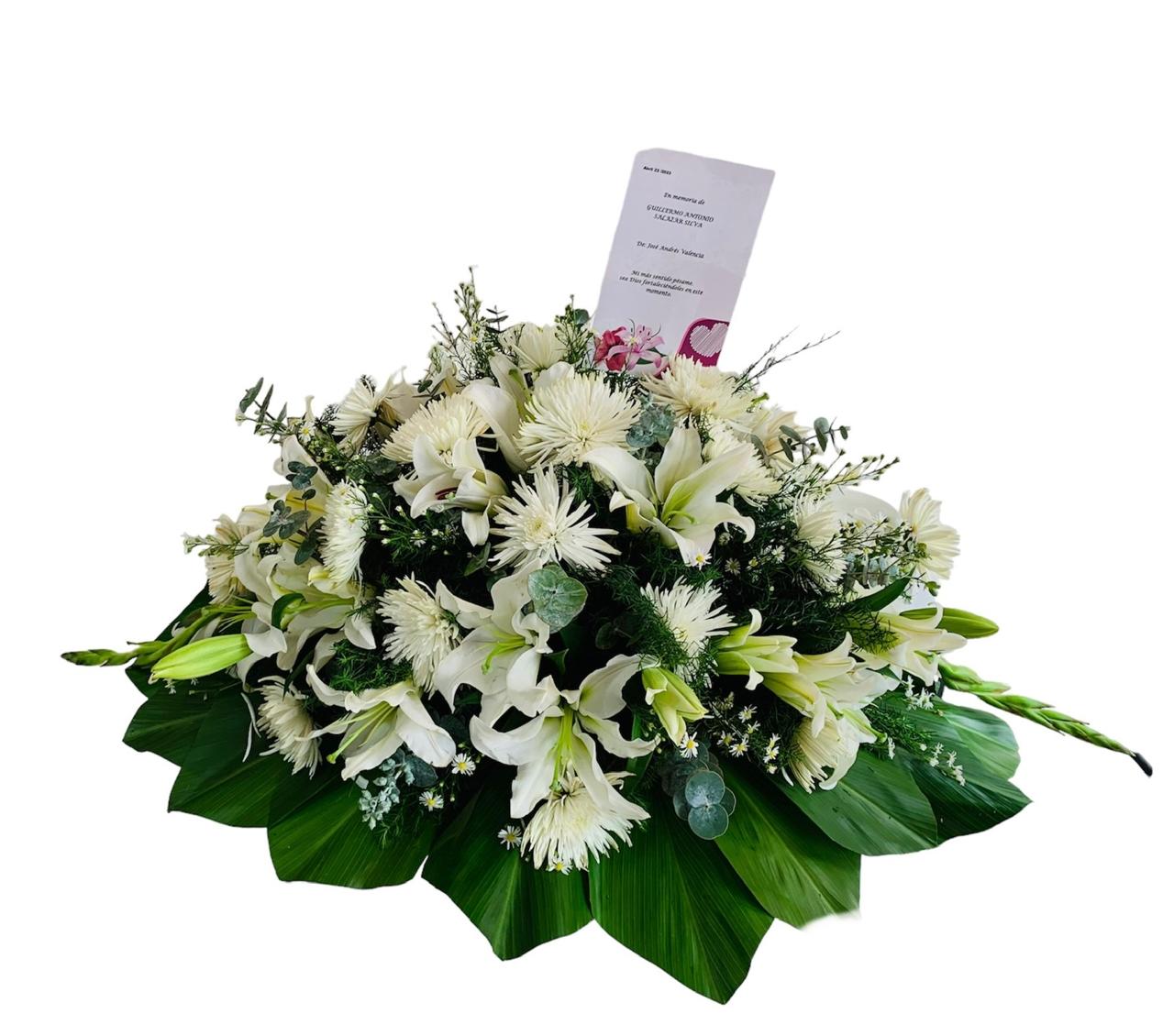 Ramo Fúnebre Luz de Esperanza