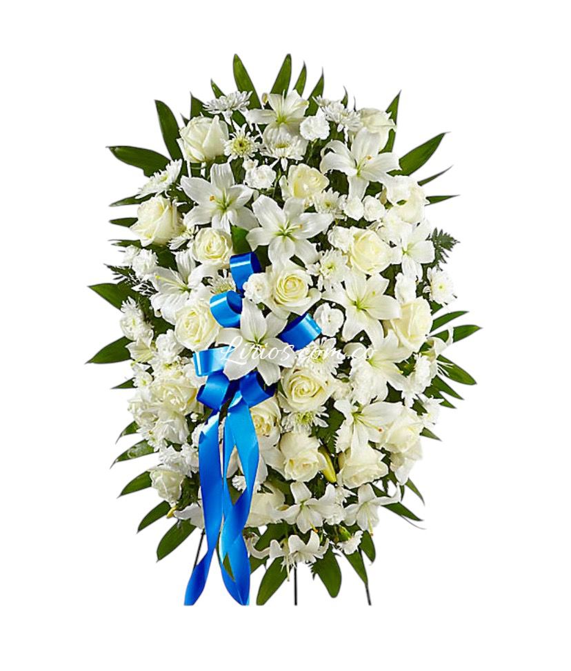 Ramos Flores Funeral Cali