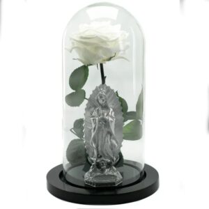 Rosa Preservada Condolecías