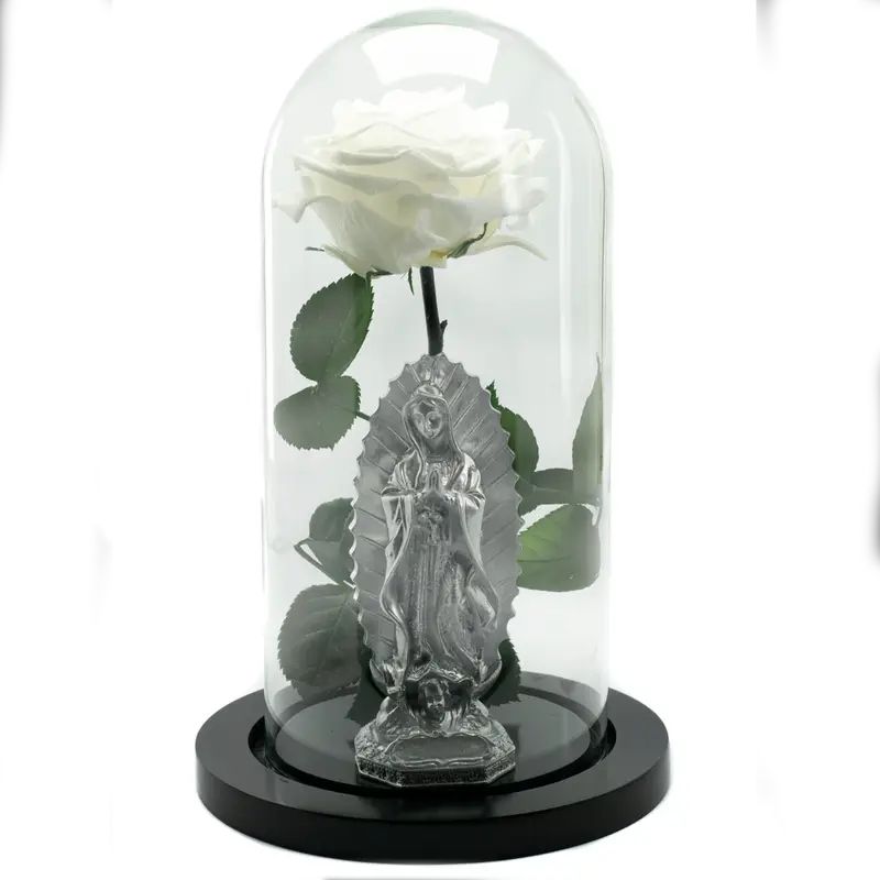 Rosa Preservada Condolecías