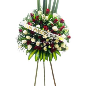 Abanico Funeral Moderno