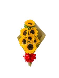 Girasoles Cali Detalles
