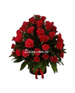 Arreglo Redondo Cali