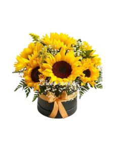 Girasoles Y Detalles Cali