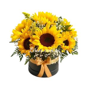 Girasoles Y Detalles Cali