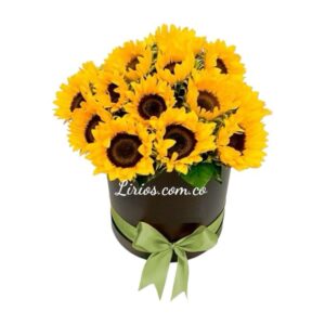 Ramo de Girasoles en Cali