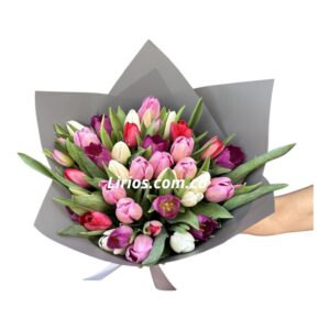 Ramo de Tulipanes Importados en Cali – Frescura Garantizada