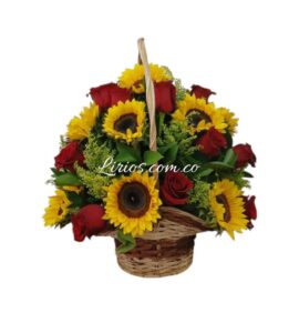 Ramo de Girasoles en Cali – Alegría y Energía