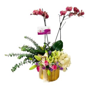 Ramos de Flores Variadas en Cali – Floristería Local